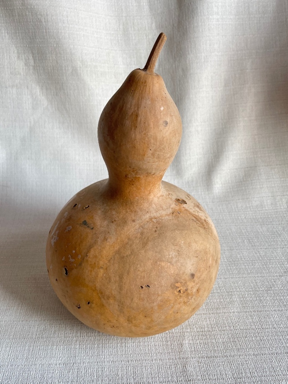 Restoration Hardware Natural Brown Gourd Accent